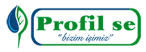Profilse